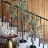 PLANTA DECORATIVA EREN - Image 2