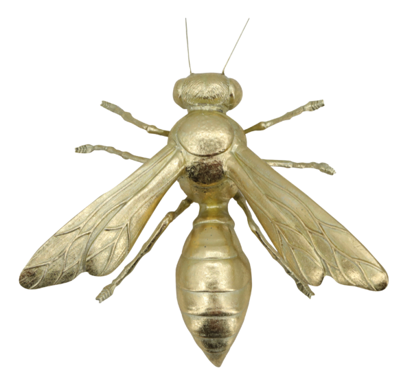 AVISPA DORADA